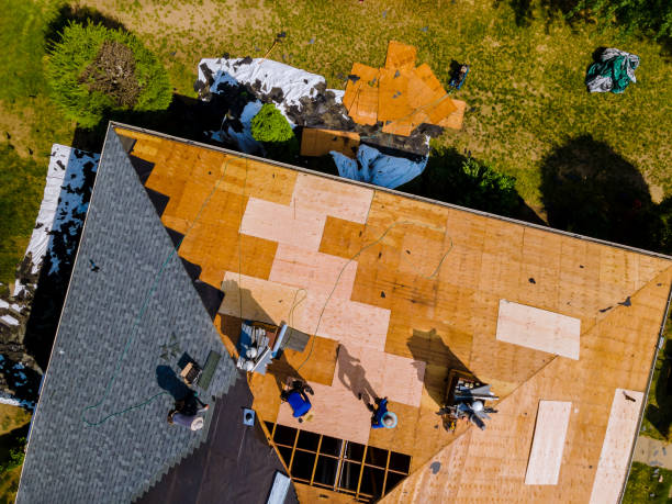 Residential Roof Replacement in Rodney Village, DE