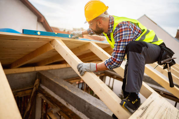 Professional Roofing Contractor in Rodney Village, DE