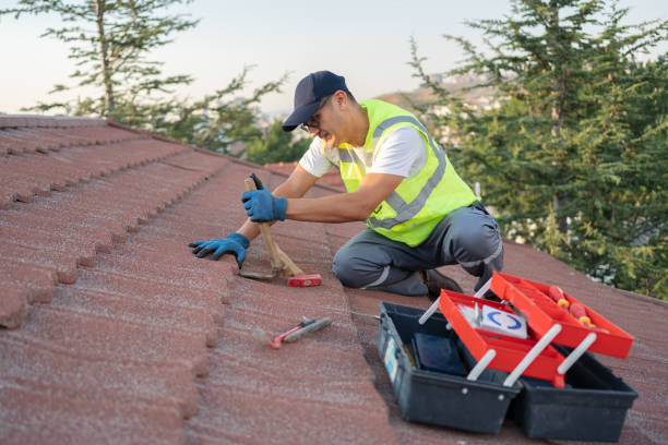 Best Roof Leak Repair  in Rodney Village, DE