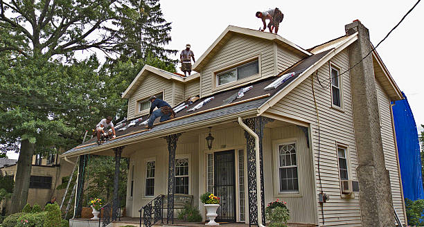 Best Roof Gutter Cleaning  in Rodney Village, DE
